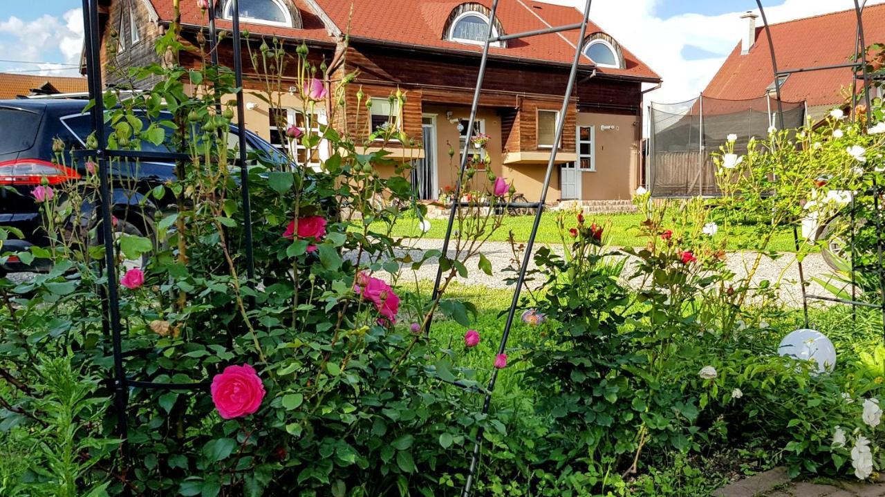 Lend Apartment Миеркуря Чук Екстериор снимка